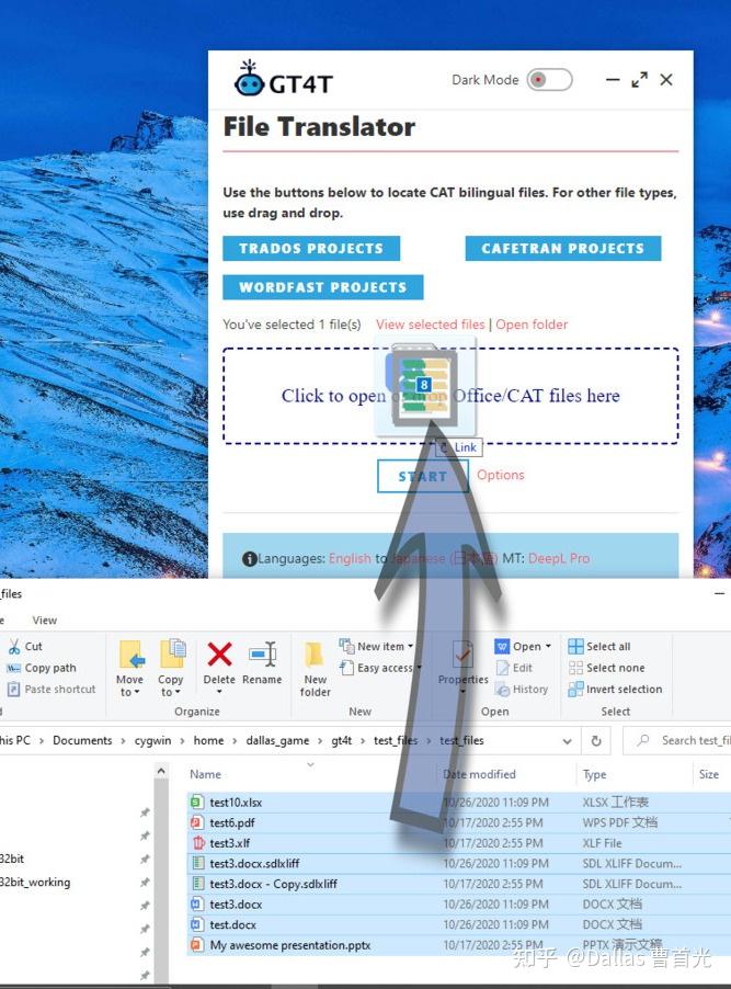 Safari 安装有道翻译终极指南：从下载到精通