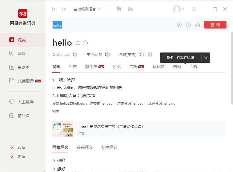 有道词典拼音在线翻译:您的终极汉语学习伙伴