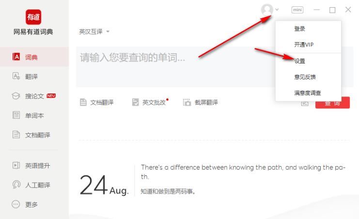有道词典鼠标跟随翻译终极指南：从入门设置到高级排错