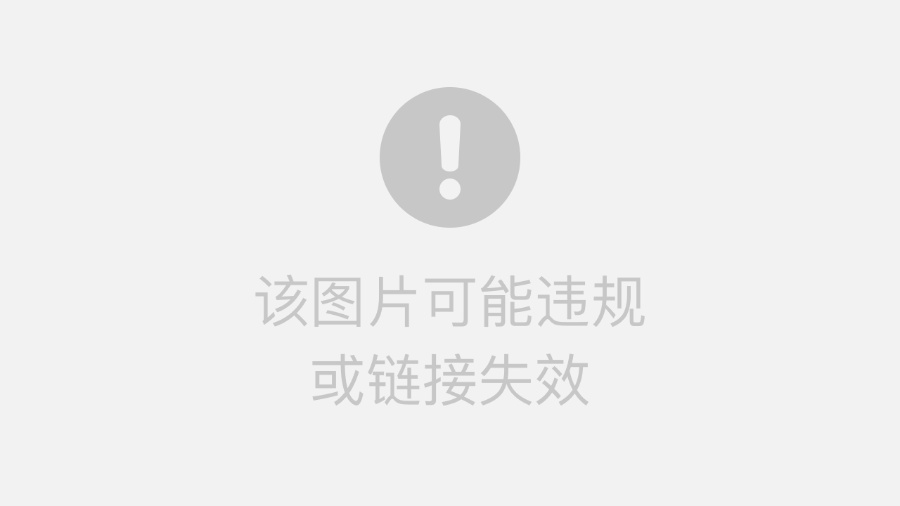 网易有道手机翻译插件：全面解析安装与高效使用技巧